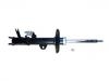 Shock Absorber:1014013163