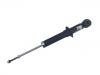 Shock Absorber:1064001268