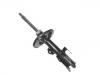 Shock Absorber:4852080310