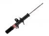 Shock Absorber:543025FM0A