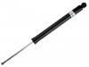 Shock Absorber:A 243 320 79 00