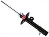 Shock Absorber:4160280S01